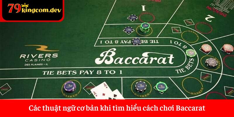 Các thuật ngữ cơ bản khi tìm hiểu cách chơi Baccarat