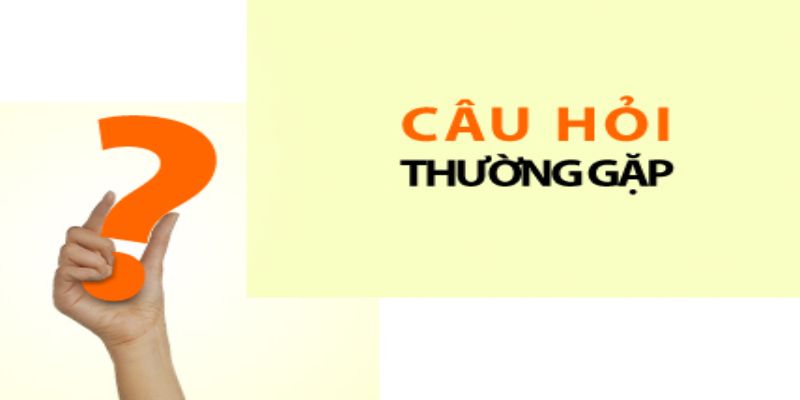 Các câu hỏi thường gặp 79King về cách thức liên hệ trực tiếp