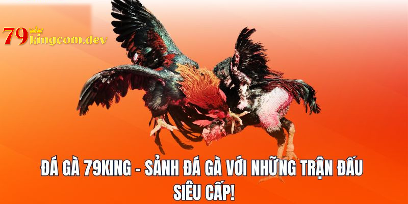 Giới thiệu một vài thông tin đá gà 79king