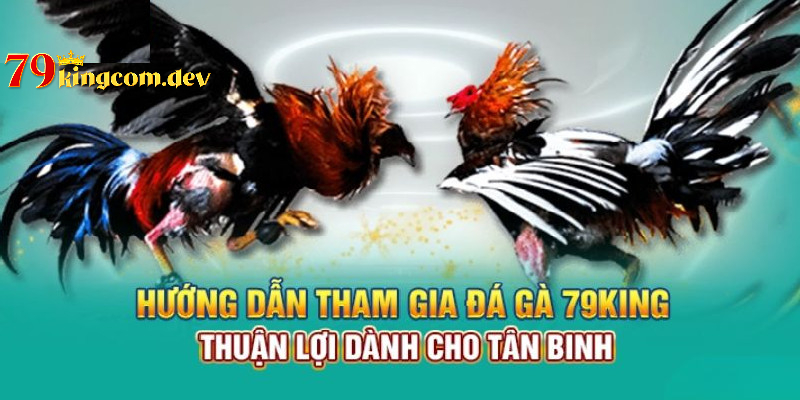 Cách tham gia trải nghiệm, cá cược trên hệ thống