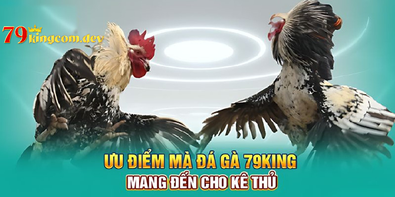 Loại hình cá cược với sức hấp dẫn đặc biệt